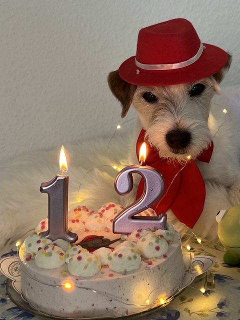 Geburtstag 12